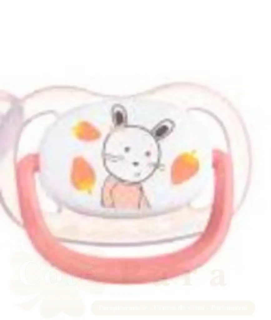 BEBE CONFORT SUC PHYSIO CONFORT GARDNER ROSE 0-6M 6891