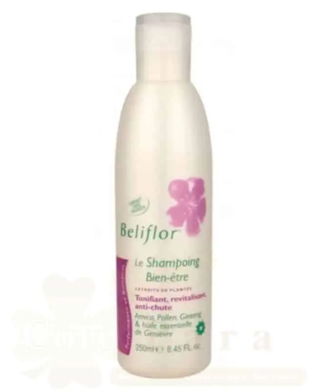 BELIFLOR SHP ANTI CHUTE 250ML