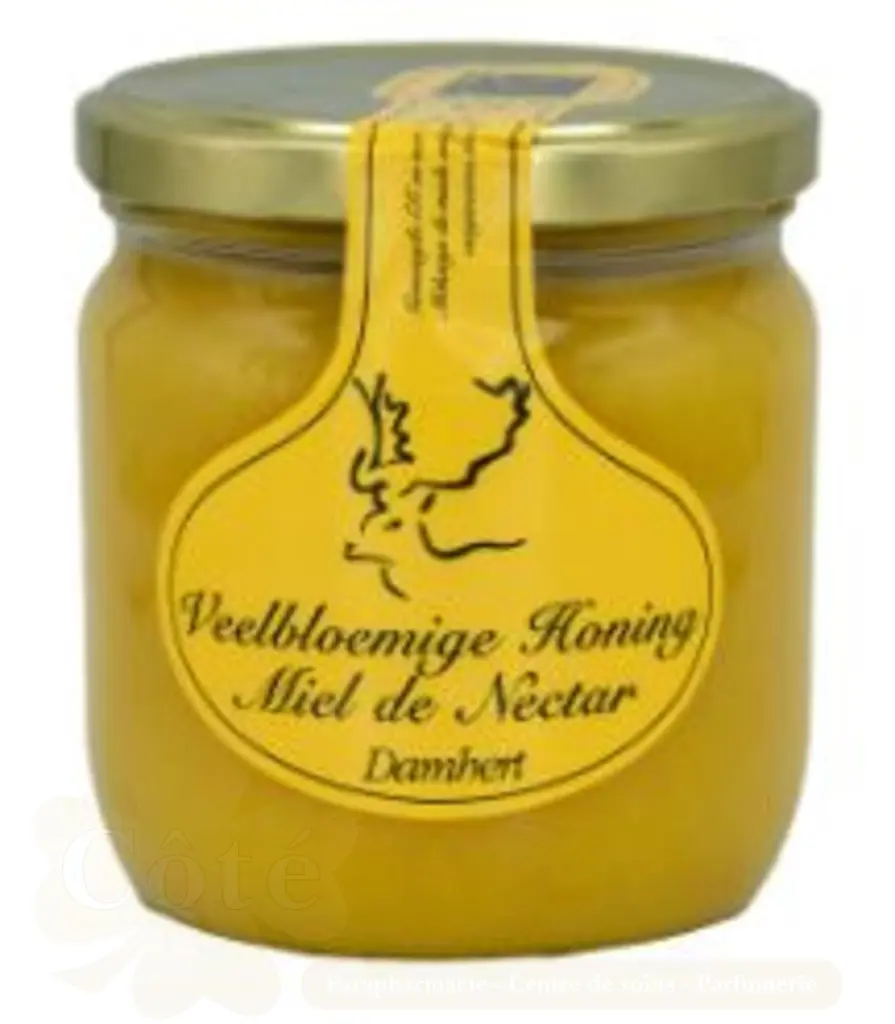DAMHERT MIEL DE NECTAR 500G