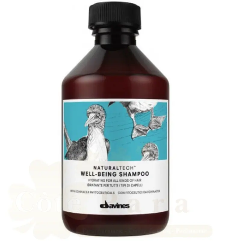 DAVINES NATURAL WELL BEING SHAMPOOING 250ML 71261