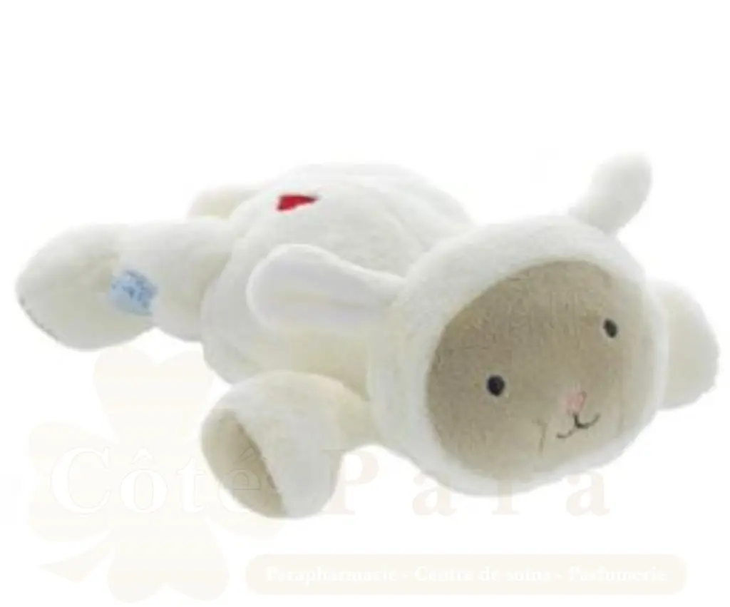 DODIE BOUILLOTTE AUX PEPINS DE RAISINS MOUTON 6M+