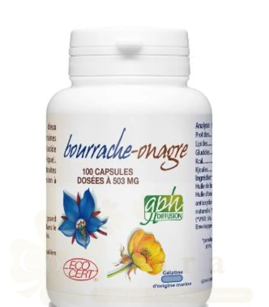 GPH DIFFUSION BOURRACHE ONAGRE 100 CAPSULES 503MG