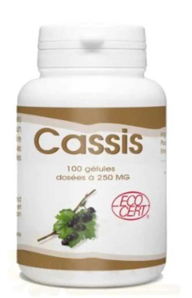 GPH DIFFUSION CASSIS 100 GELULES 250MG