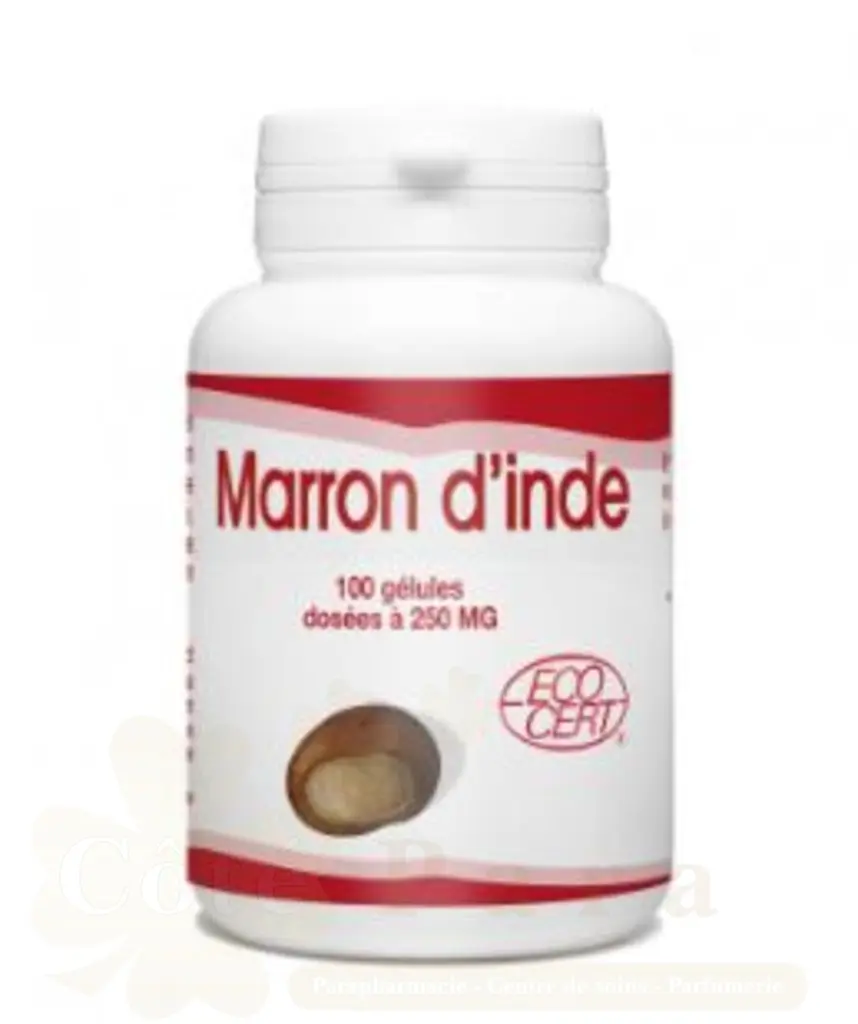 GPH DIFFUSION MARRON D’INDE 100 GELULES