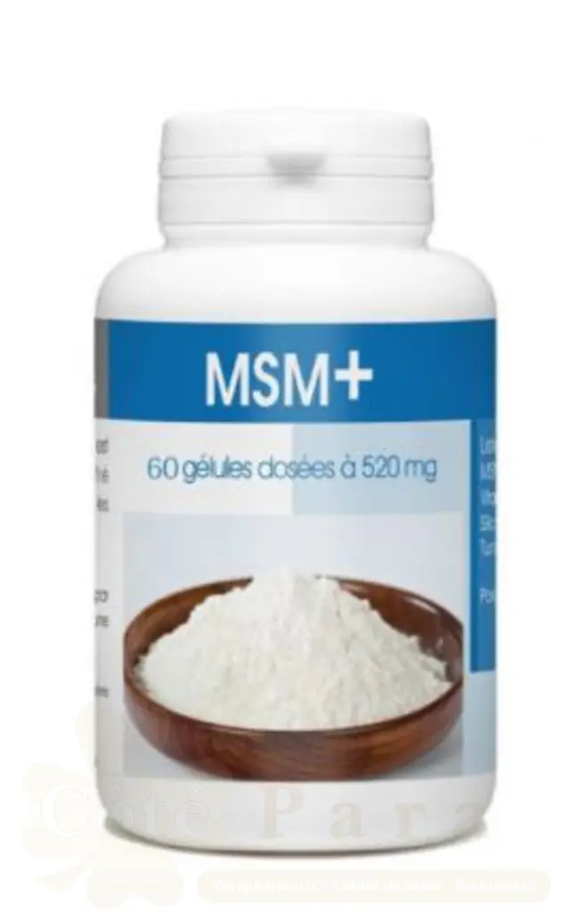 GPH DIFFUSION MSM 60 GELULES 520MG