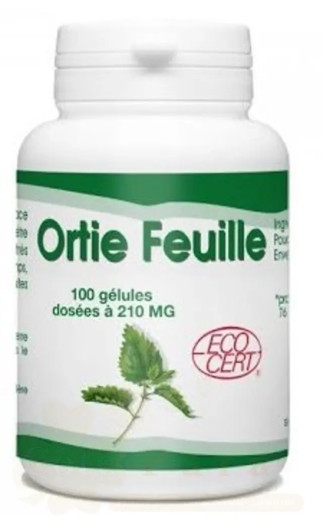GPH DIFFUSION ORTIE FEUILLE 100 GELULES