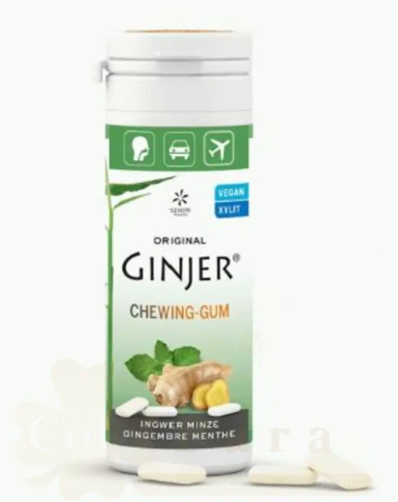 LEMON PHARMA GINGER CHWING GUM MENTHE 30G