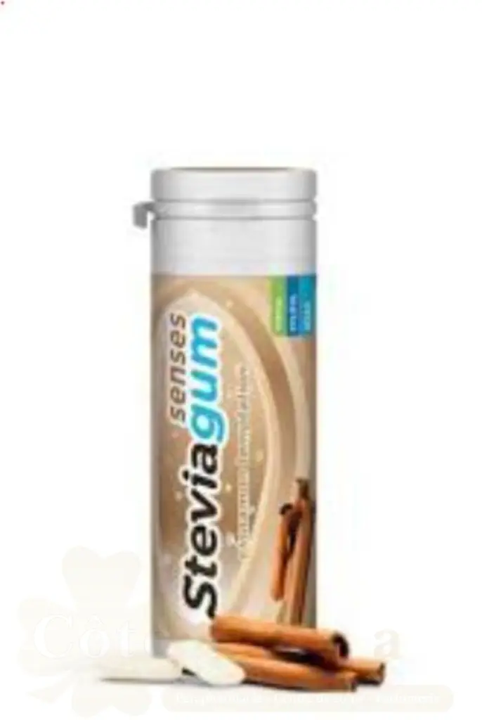 LEMON PHARMA STEVIAGUM CANELLE 30G