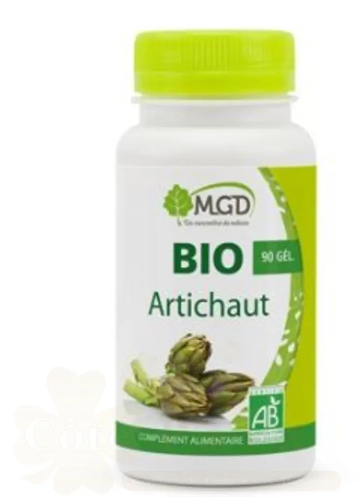 MGD BIO ARTICHAUT 90GELULES