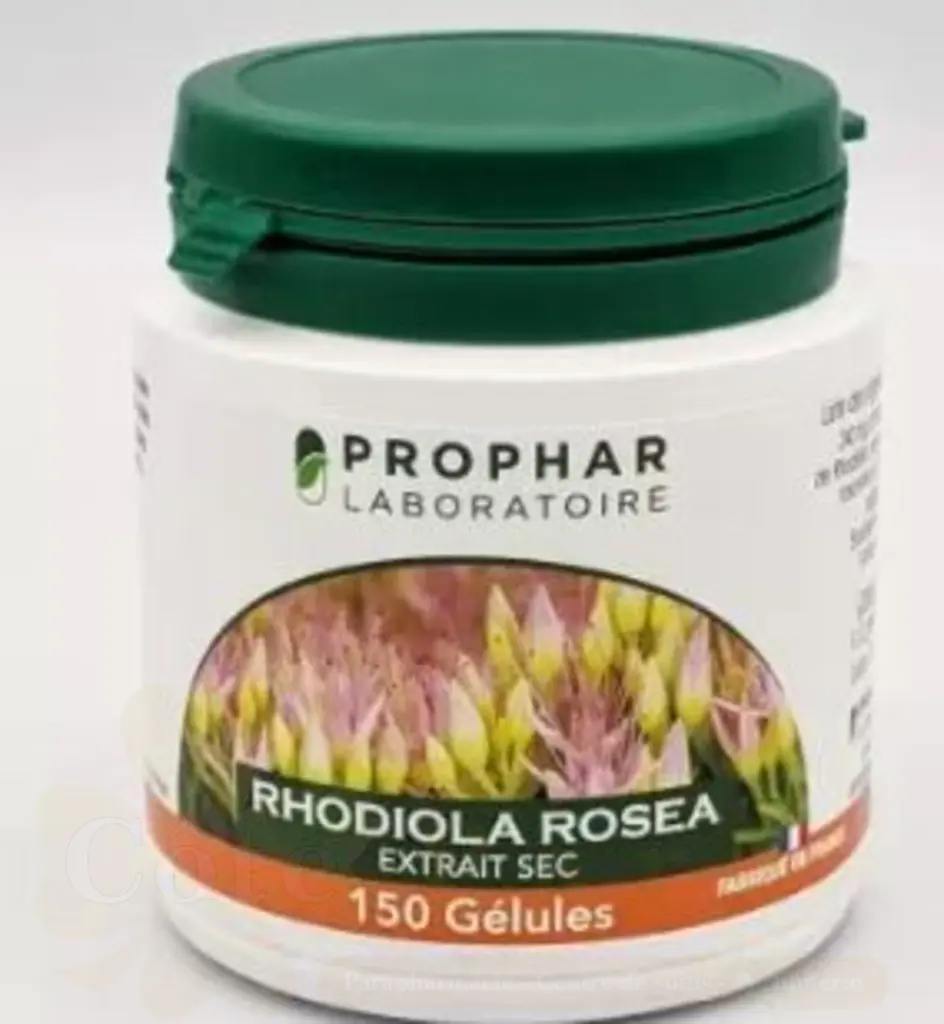 PROPHAR RHODIOLA ROSEA 100 GELULES