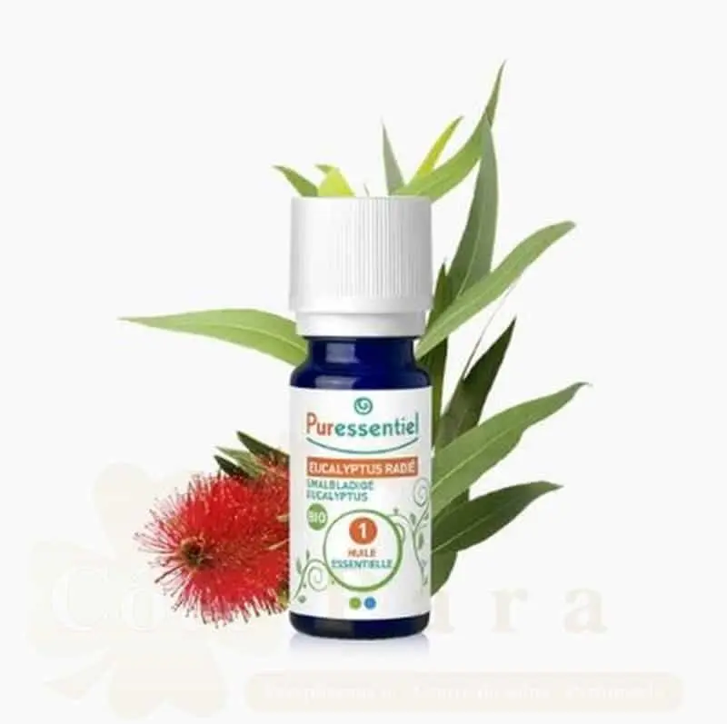 PURESSENTIEL H.E EUCALYPTUS RADIE 10ML