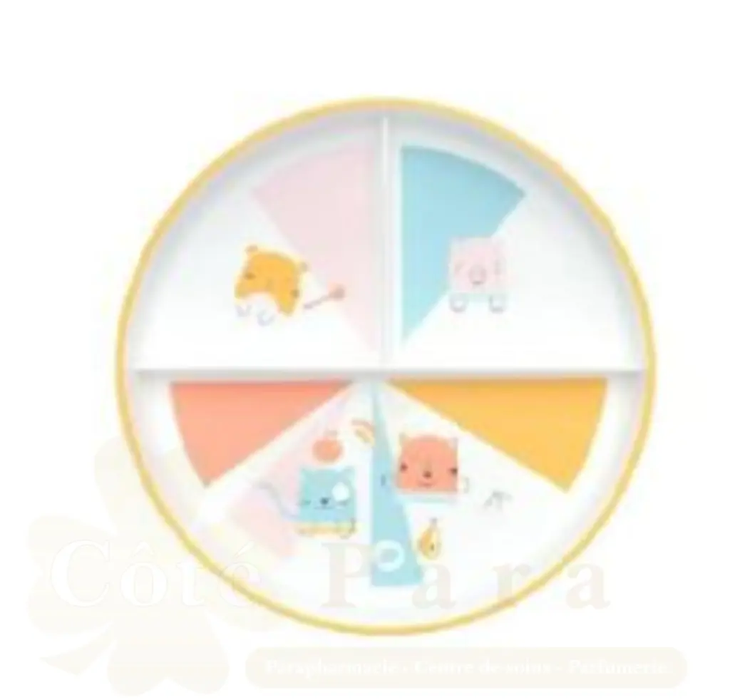 BEBE CONFORT ASSIETTE D’APPRENTISSAGE AVEC COMPARTIMENT DOMINO 18M+ REF3105208500