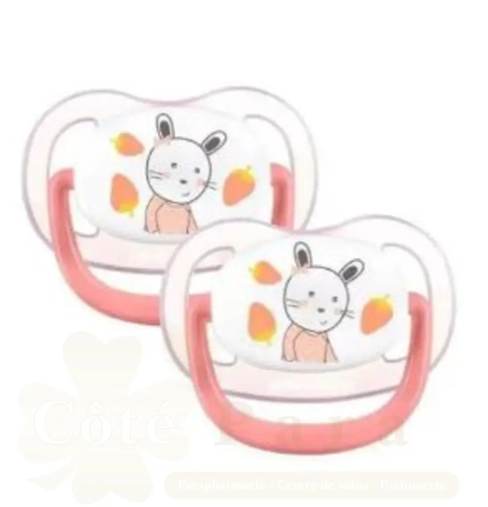 BEBE CONFORT SUC PHYSIO AIR CONFORT 18-36M THE GARDNER ROSE 6914