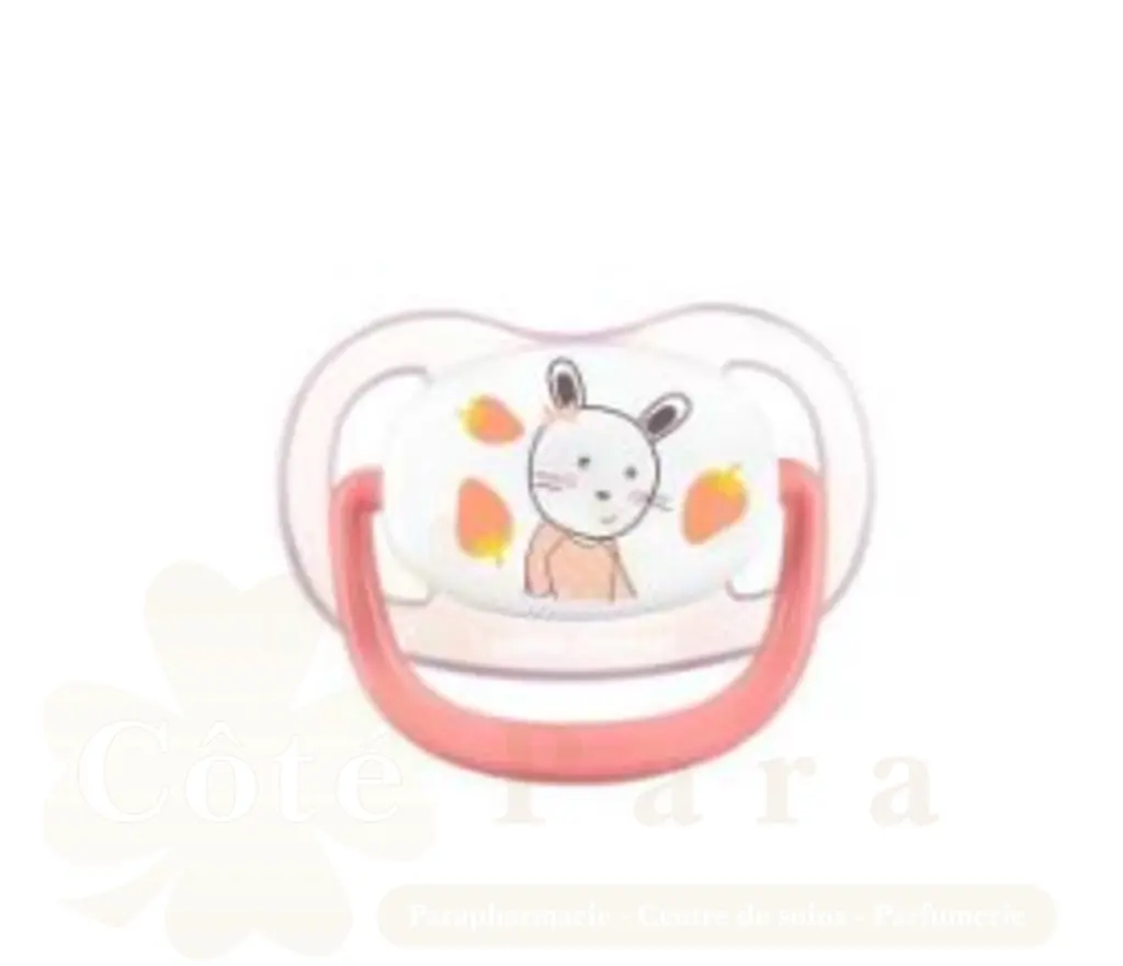 BEBE CONFORT SUC PHYSIO AIR CONFORT GARDNER ROSE 6-18M 6907