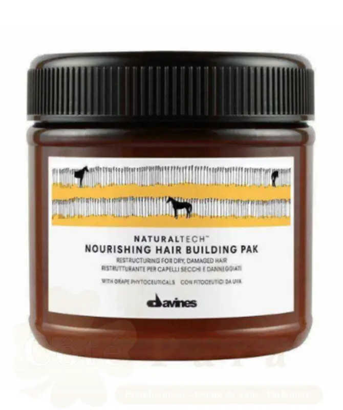 DAVINES NOURISHING HAIR BUILDING PAK (MASQUE) 250ML 71308